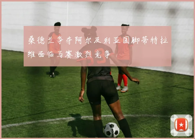 桑德兰争夺阿尔及利亚国脚蒂特拉维面临马赛激烈竞争