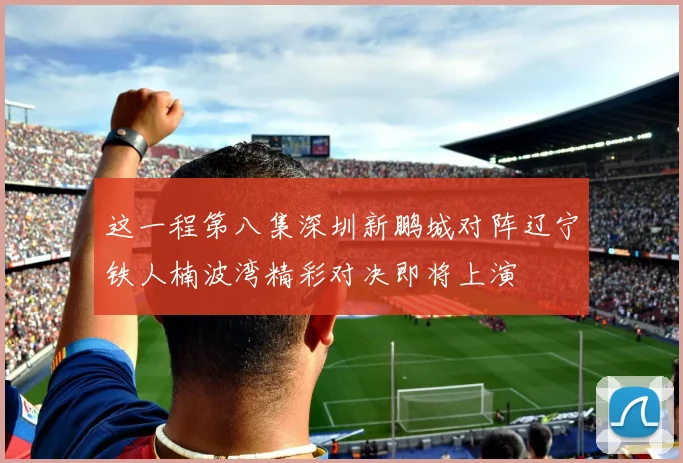 这一程第八集深圳新鹏城对阵辽宁铁人楠波湾精彩对决即将上演